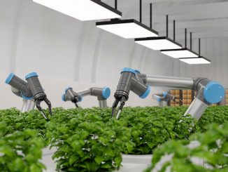 Vertical Farming, Automation, Sustainability